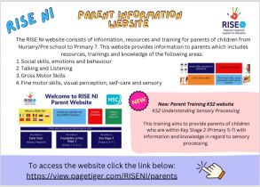 RISE NI PARENT WEBSITE promotion.pdf